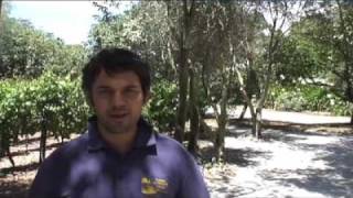 New Zealand Wine Tour