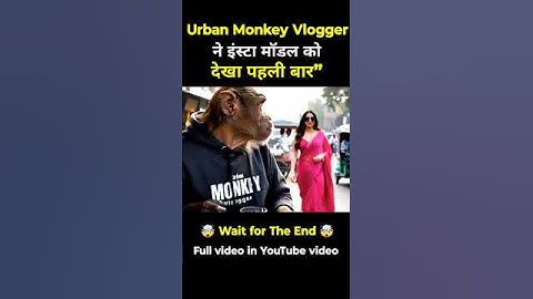 Bihari Bandar vlogs | Urban Monkey Vlogger | veo 3 gemini | Ai Video ai Vlogger | Yeti vlogs