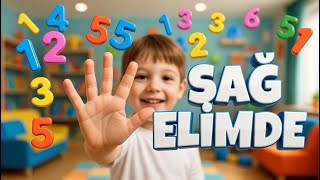 Sağ Elimde Beş Parmak Say Bak Eğitici Çocuk Şarkısı