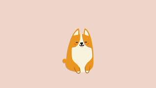 no Copyright  cutie Cat cute Background   Free Copyright 