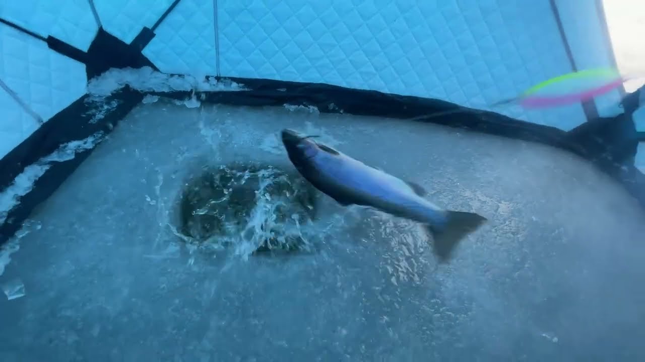Catching Rainbows Through The Ice Hole On Dragon Lake!