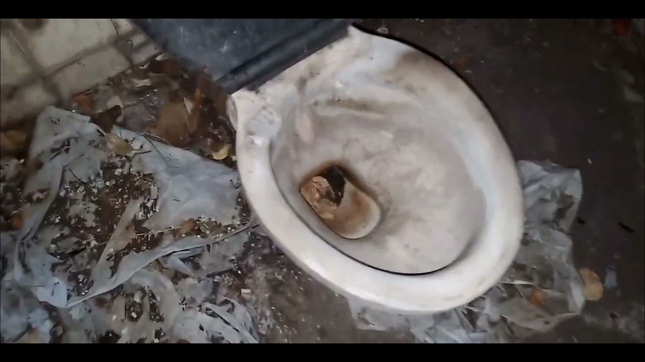 Derliect 1950's Twyfords Civic toilet Pan