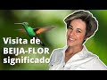 O significado da Visita de Beija-flor em casa!