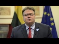 The minister of foreign affairs of lithuania thanks the international community