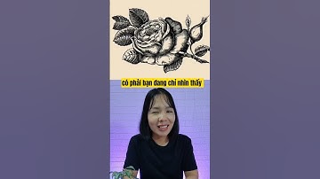 hình ẩn khó nhìn nhất thế giới, đố vui #shorts #dovuihainao #dovui #hathithin #tet