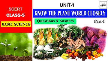 SCERT CLASS 5 BASIC SCIENCE LESSON 1 | KNOW THE PLANT WORLD CLOSELY|സസ്യ ലോകത്തെ അടുത്തറിയാം| PART 1