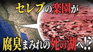 セレブの楽園が「有毒の海」に…？なぜ「ソルトン湖」が死の湖へと変貌したのか