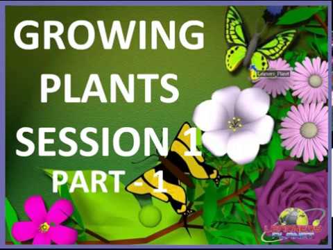 5th class cbse science growing plants video lesson 1 part 1 worksheets link in desc youtube