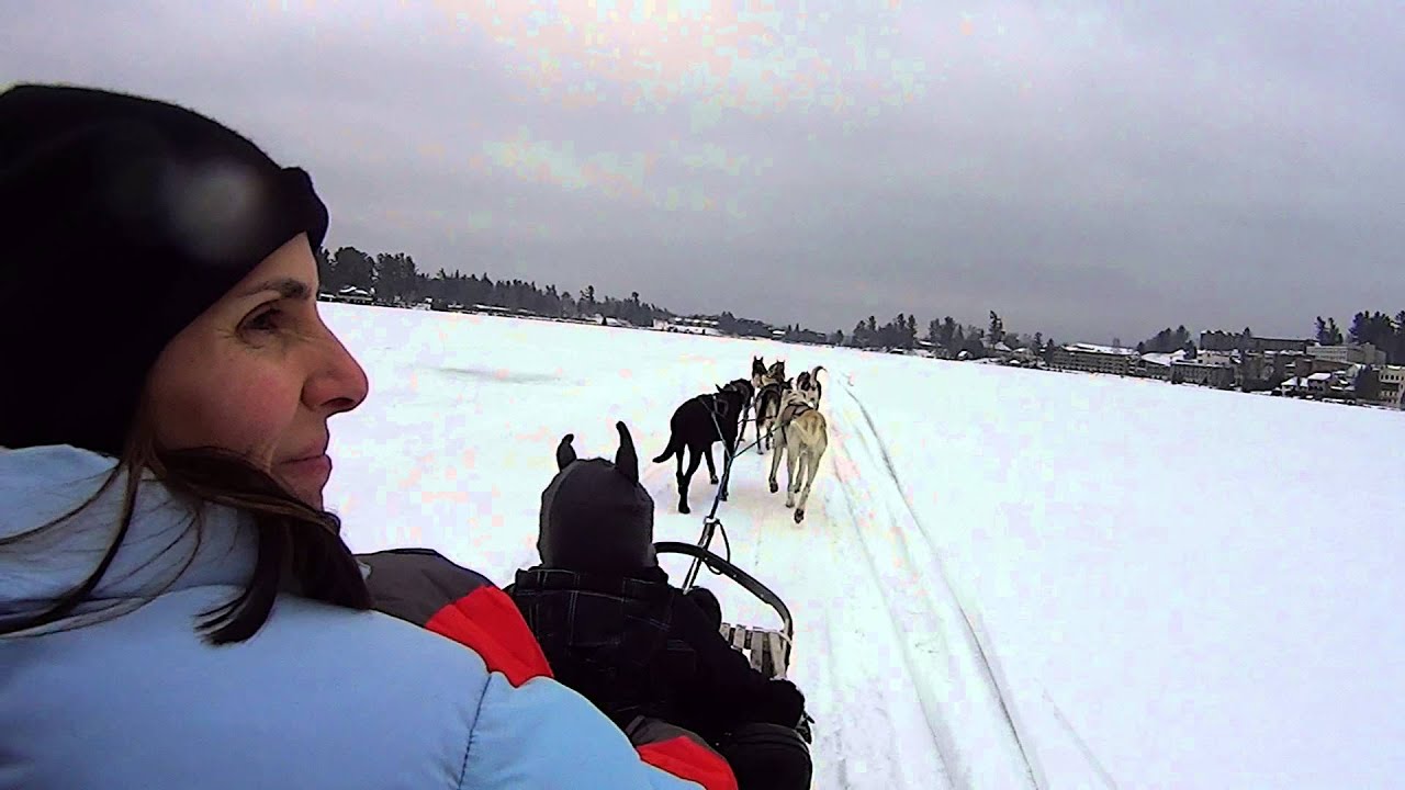 dog sled tours lake placid