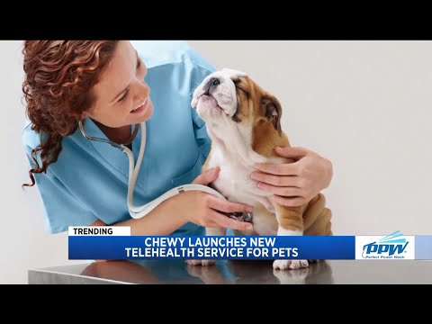 Fox 8 News | Chewy Connect With a Vet