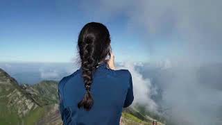 Experience The Power Of Green Tea Now Foods Egcg Green Tea Extract