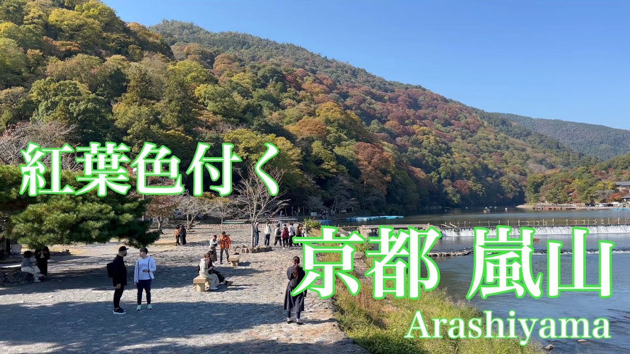 2023年11月1日 紅葉色付き訪日客に人気の京都嵐山を歩く Walking