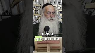 שורש הנשמה שלך!