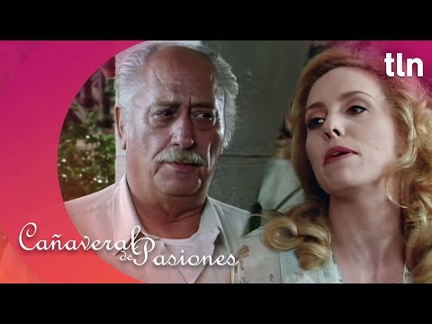 Samuel sospecha que Dinorah mandó eliminar a Julia | Cañaveral de pasiones Capítulo 89 (Parte 1)