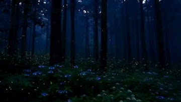 تلاوة خاشعة لسورة الرحمن بصوت القارئ محمد اللحيدان