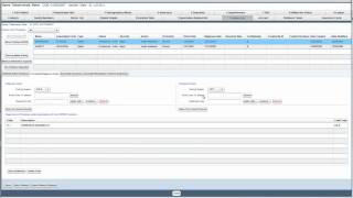 Patient Information Window - Problem List.mp4