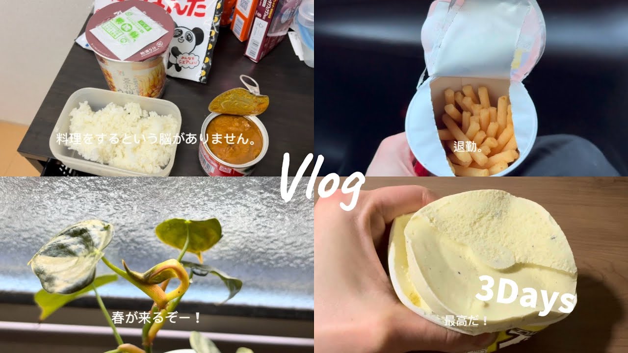 【Vlog】 27歳男性　とある3日間②