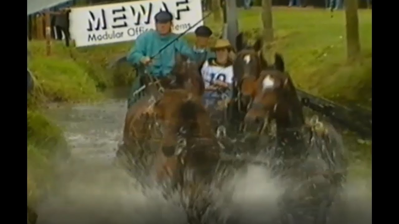 Four-in-hand driving Waregem 1991 - Marathon & Cones