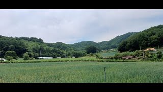 ​진부 시골 마을 풍경 확트인 조망 남향 평탄부지 (1429평)강원도평창봉평진부부동산전원농가주택시골집펜션부지토지땅매매물공인중개사