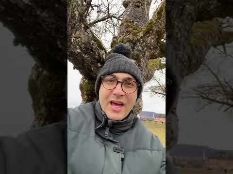 حقائق غريبة عن سويسرا معلومات سرية سويسرا غرائب معلومات يوتيوب