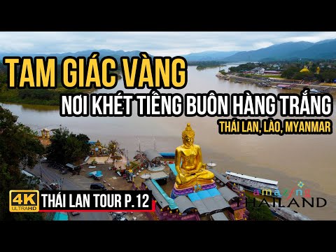 Video TAM GIÁC VÀNG, NƠI KHÉT TIẾNG VỀ BUÔN BÁN HÀNG TRẮNG... - youtube