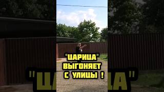 ‼️"ЦАРИЦА" ВСЕЯ УЛИЦЫ‼️ Старомышастовская