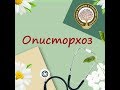 Описторхоз