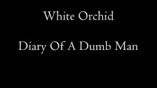 Diary Of A Dumb Man - White Orchid.wmv