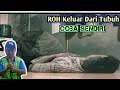Tutorial Roh keluar dari tubuh / Kinemaster