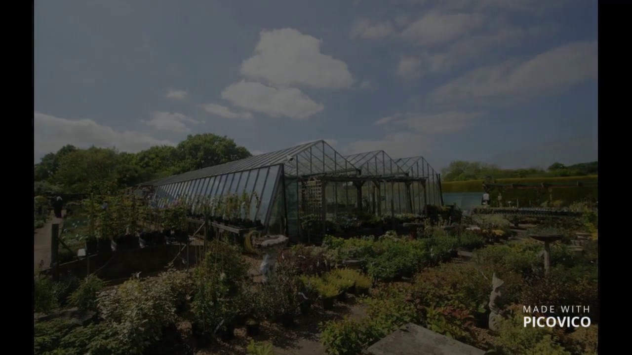 Farm Lane Nursery, Ashtead YouTube