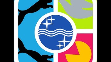 Guess The Brand - Levels 1-100 Answers