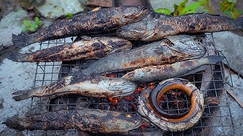 Cá lóc nướng trui " Lai Rai " là hết bài | Gấc Quê