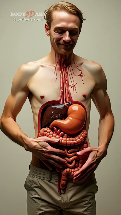 NSANE Body Paint: Organs Revealed! | Human Anatomy