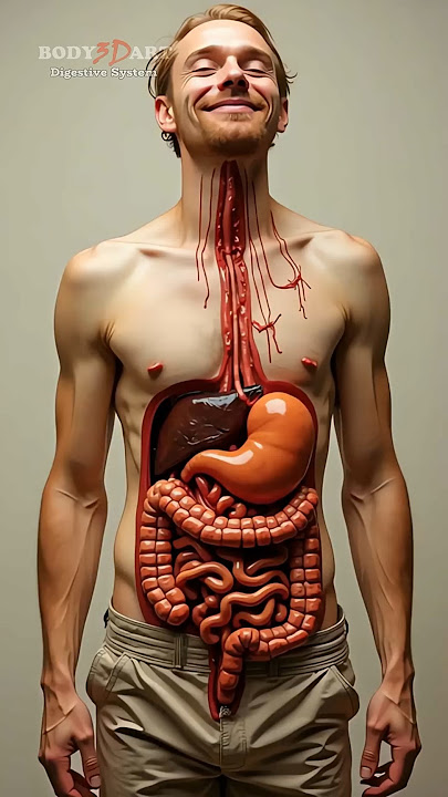 NSANE Body Paint: Organs Revealed! | Human Anatomy