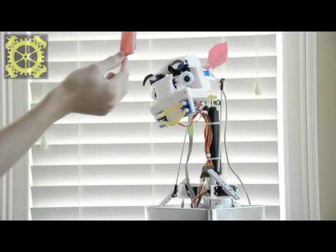 Affective Robot Demonstration