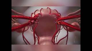 #The Experience of Female Orgasm #foryou #science #viral #fyp #orgasm #Sex Education