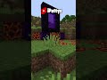 Minecraft AMA Her ABONE Olduğunuzda Ölüyorum!