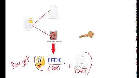 NTFS EFS Decryption 02 -  Extracting the EFEK