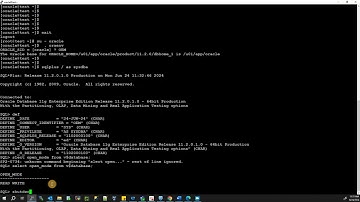 Start up and shut down the Oracle Database Instance