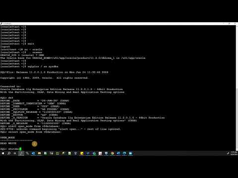 Start up and shut down the Oracle Database Instance