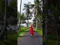 Bali Tour Packages from ₹20,499 | Bali Trip Cost, Budget & Luxury Packages #bali #travel
