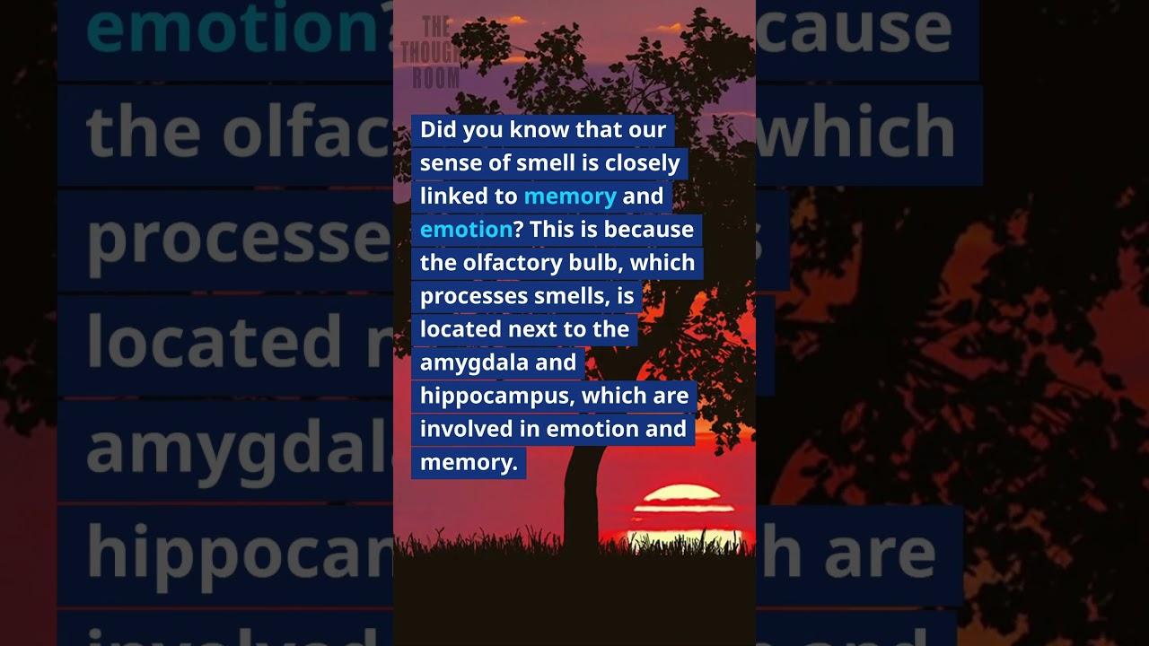 our sense of smell is closely linked to memory and emotion