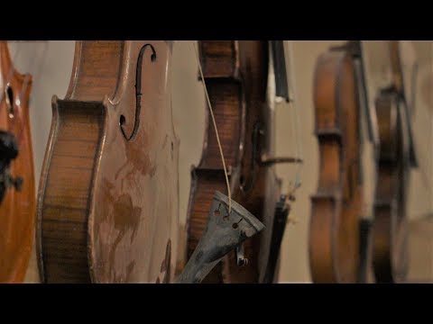 Videó: Az építész Ott Játszik Az Első Hegedűn