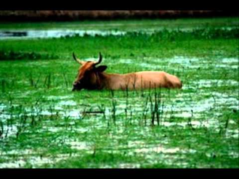 travessia do araguaia mayck e lyan travessia do araguaia mayck e lyan