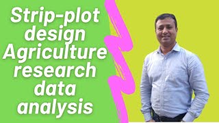 Celebrity How to analyzed Strip plot design Agriculture research data by using RStudio. Net Worth