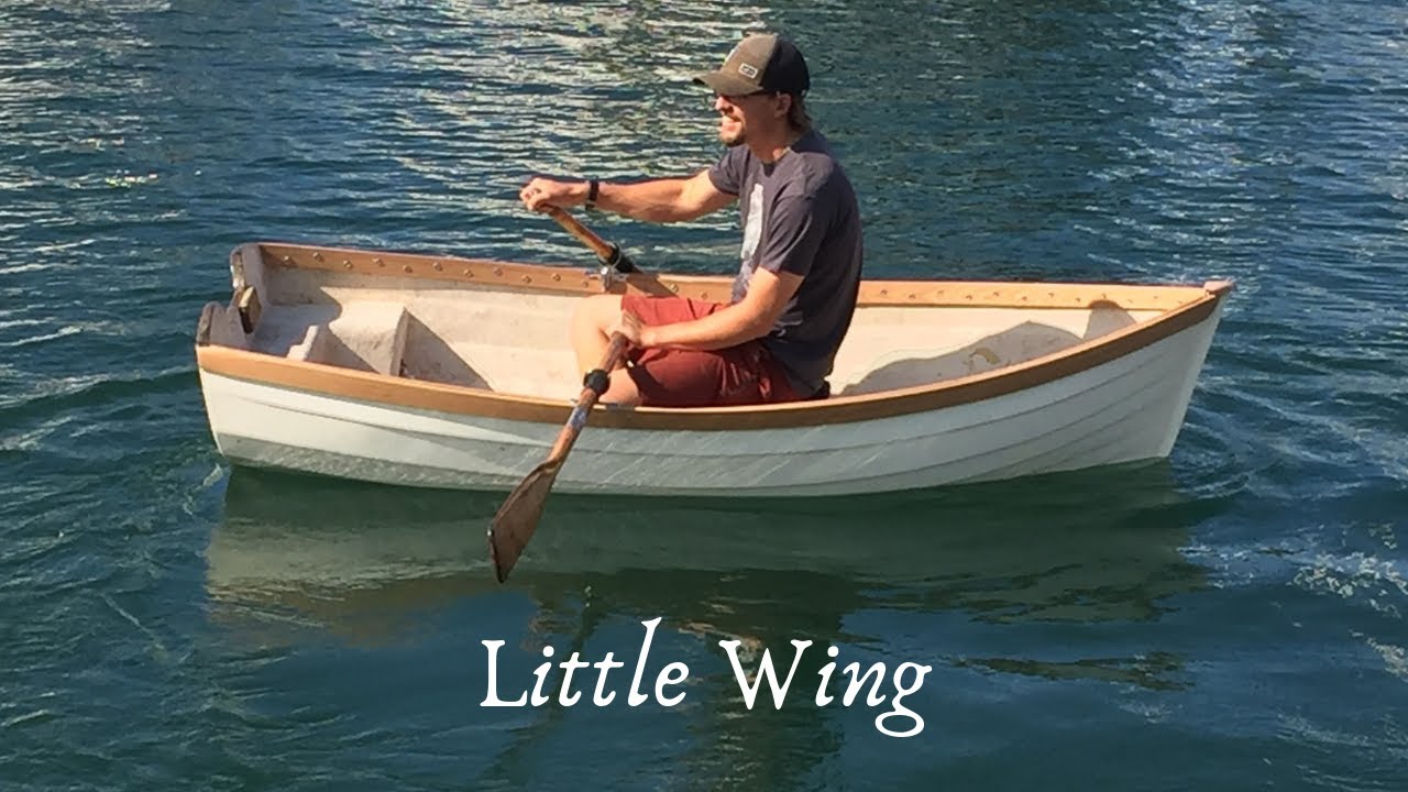 Sailing Avocet: Meet Little Wing