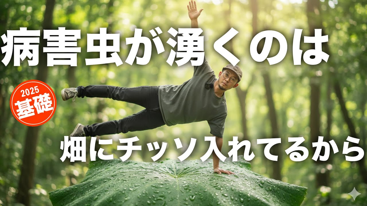 畑の窒素成分総まとめ基礎講座【最重要】