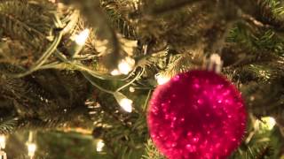 Brickhouse Bed and Breakfast Seasonal Video