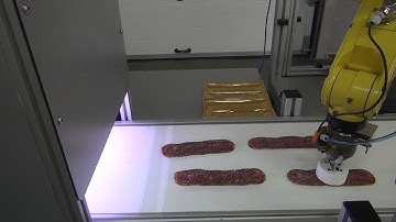 Robotic Packaging System - Sausage