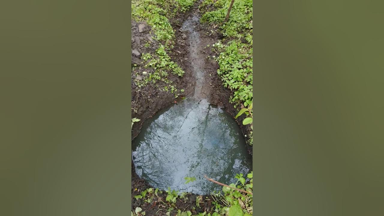 Удалили родника. Очистка родников. Чистка ручья. Родниковая жила. Черная вода в Родниках.